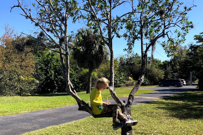 Language Arts in a Tree